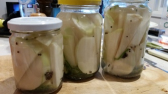 Pickled kohlrabi